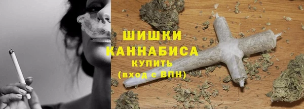 ГАЛЛЮЦИНОГЕННЫЕ ГРИБЫ Балабаново