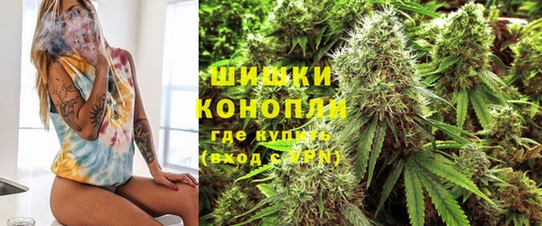 ГАЛЛЮЦИНОГЕННЫЕ ГРИБЫ Балабаново